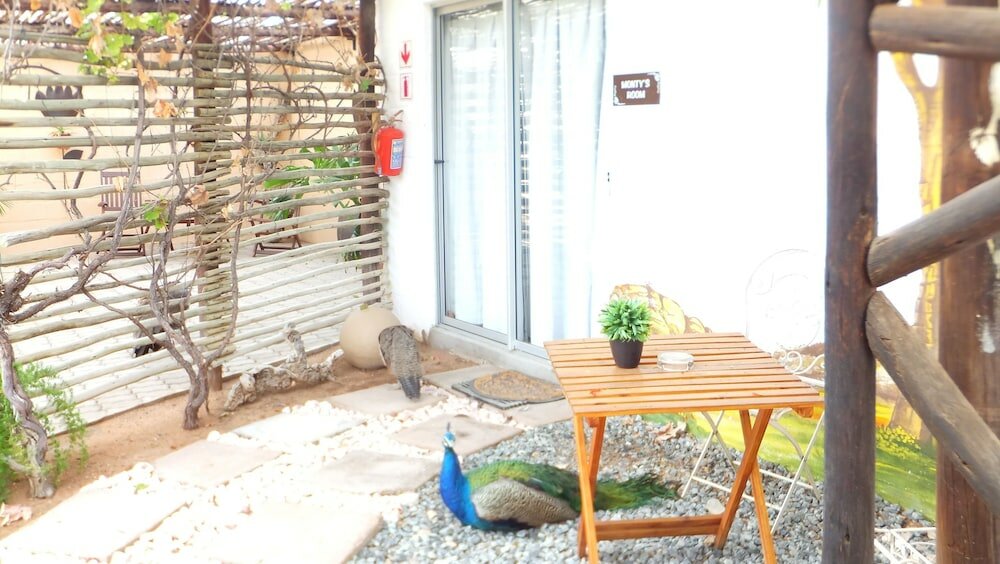 Фото Daisy Country Lodge