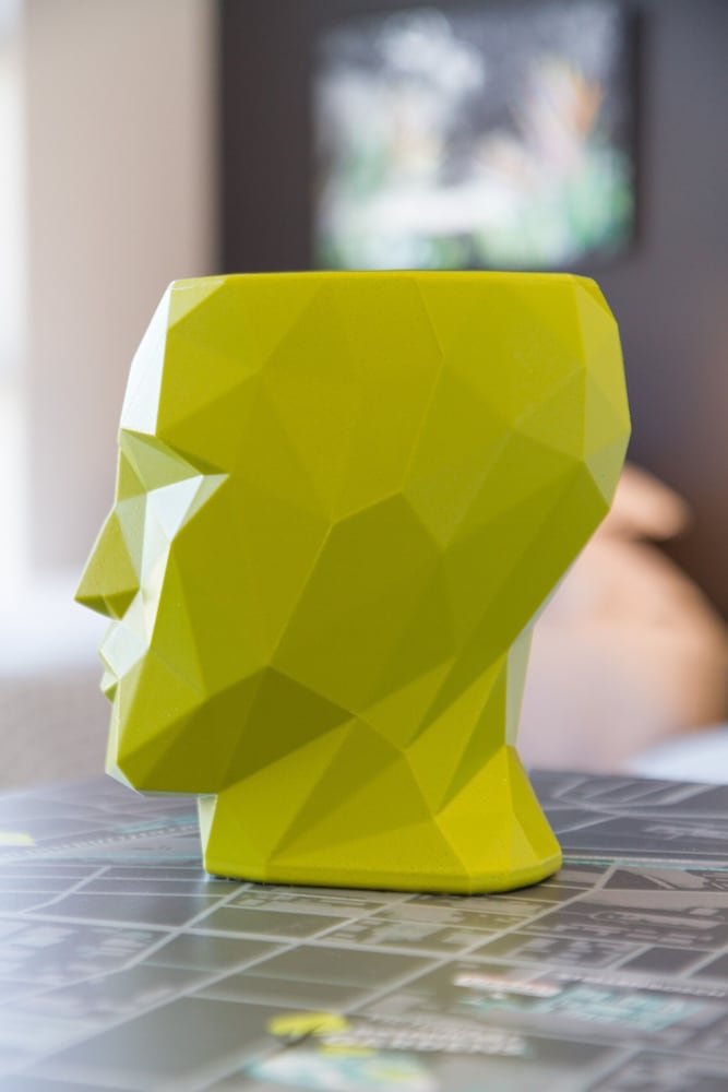 Фото Wink Quiver Tree