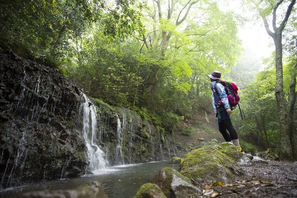 Фото Hakone Kowakien Ten-yu