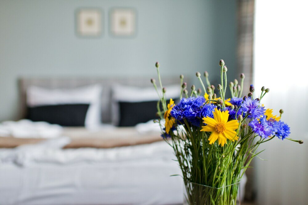 Фото Palanga Visit Apartamentai & SPA