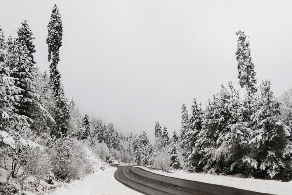 Фото Villa Mtashi