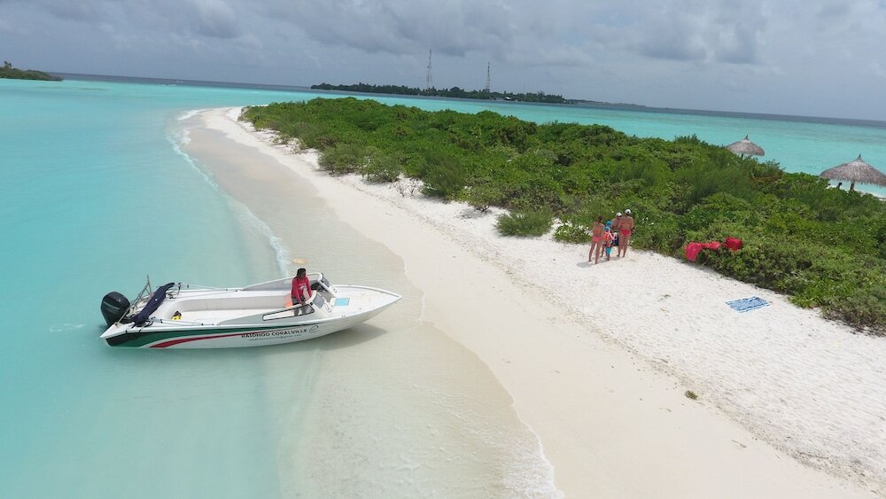 Фото Palm Residence