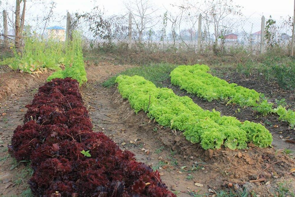 Фото Mount Inle Hotel & Resorts