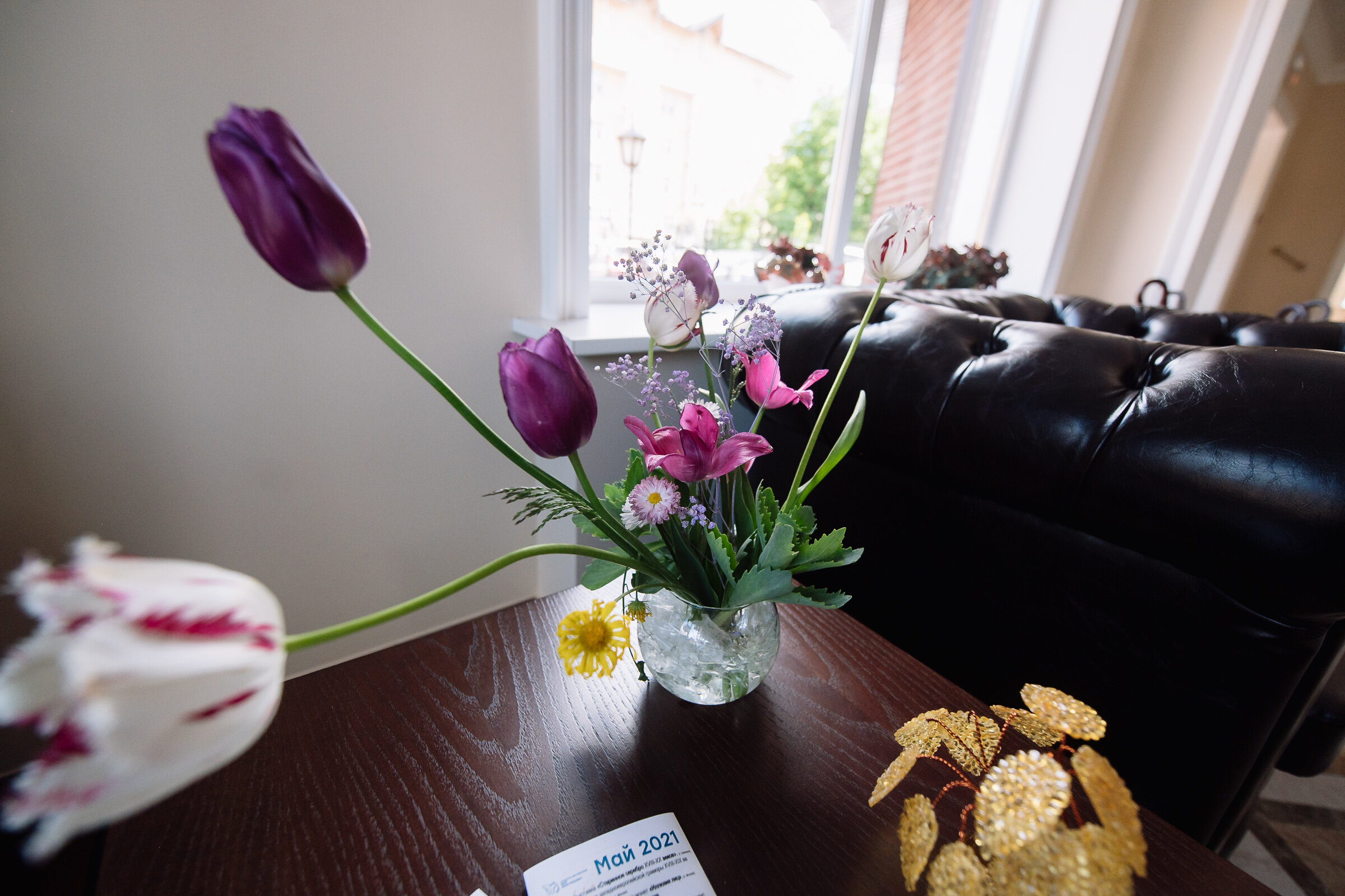 Фото Смолка