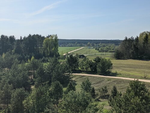 Mountain peak Гора Бойкая 190 метров, Minsk District, photo