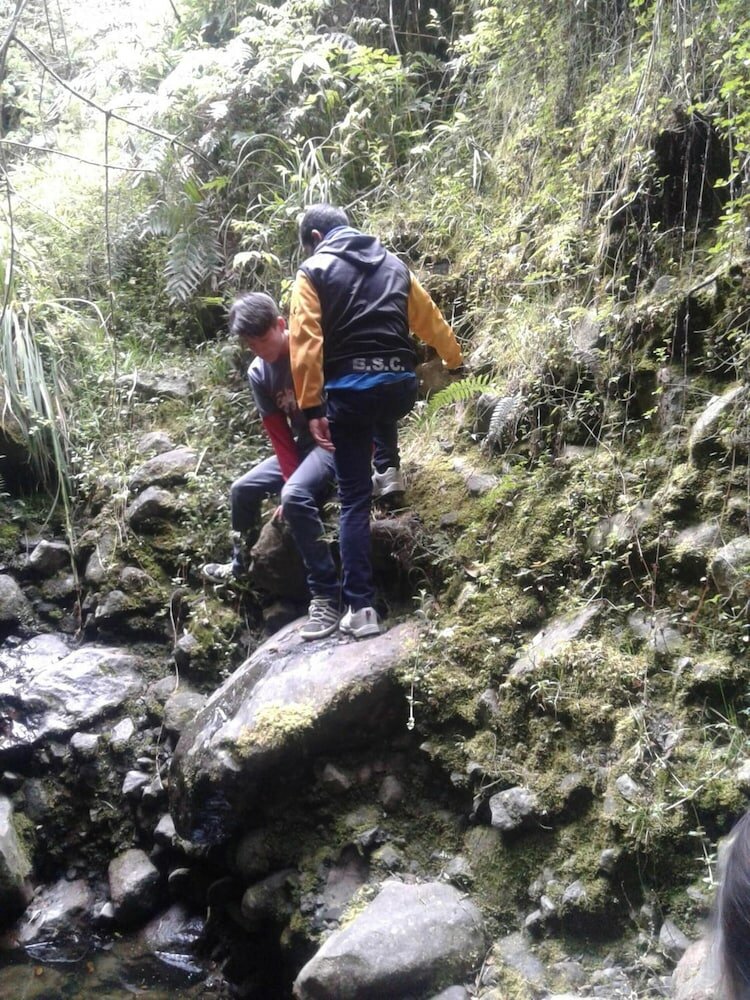 Фото Cabañas Balcón del Lago