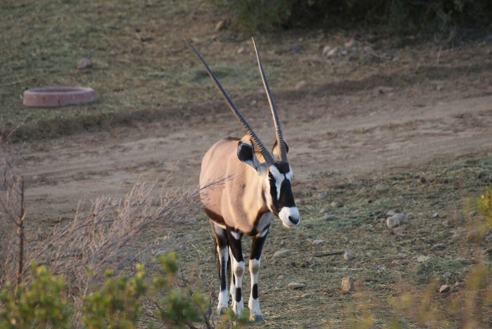 Фото Zwartberg View Mountain Lodge