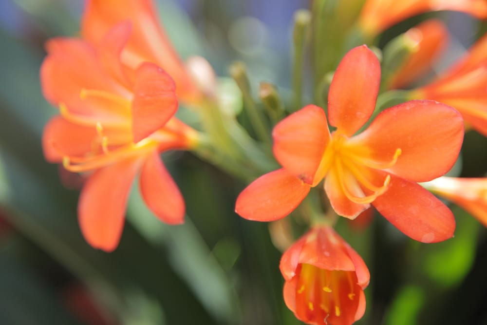 Фото Yellow House - Hostel