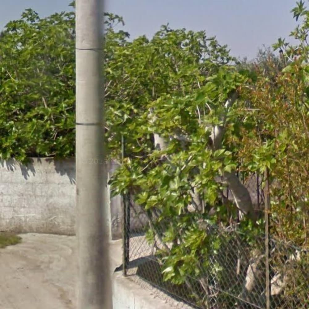 Фото Hotel Le Muse