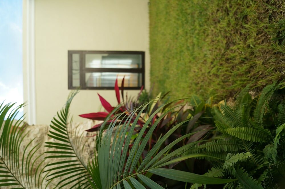 Фото Hotel Casa Palomino