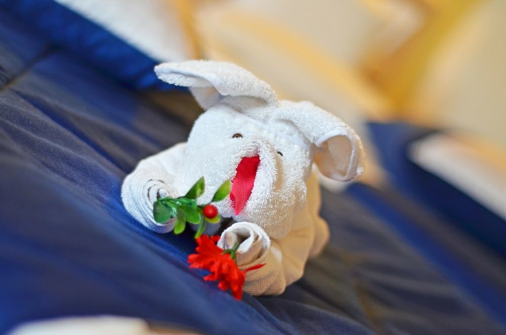 Фото Hotel Aqua Burgas