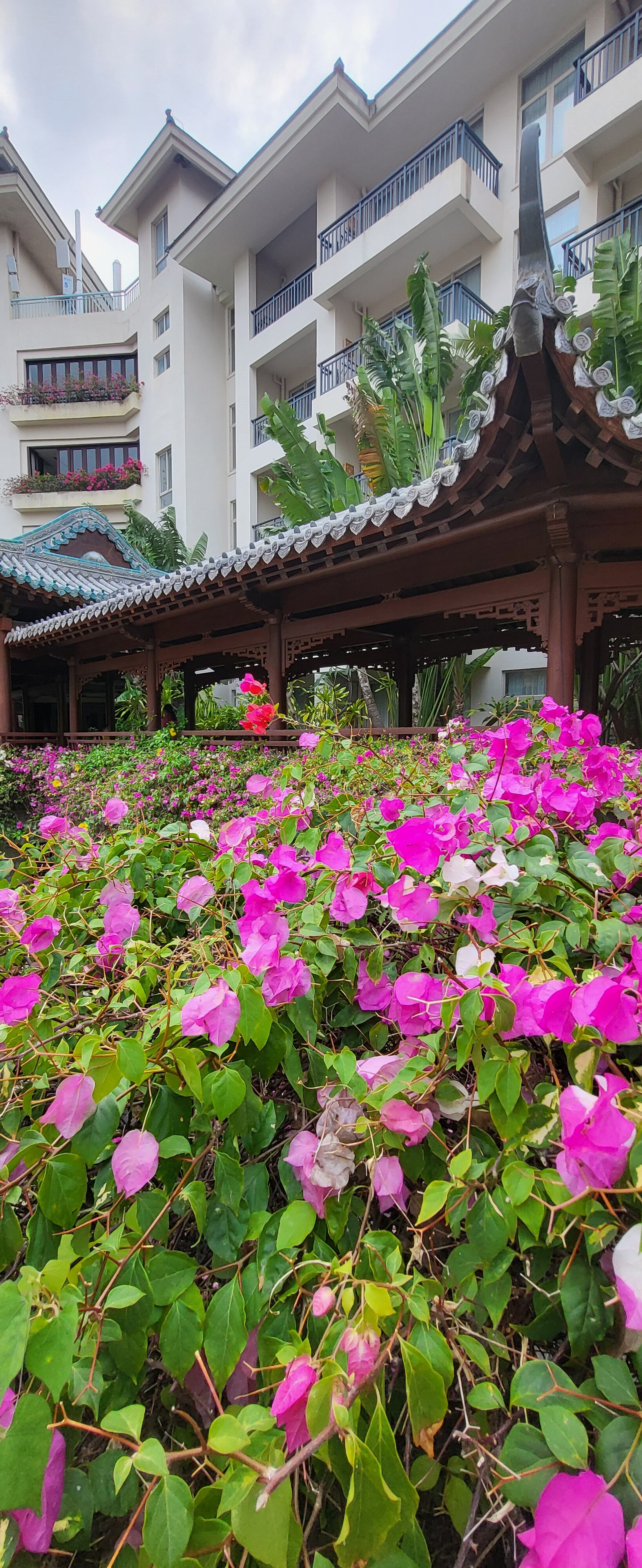 Фото Swissôtel Sanya Yalong Bay