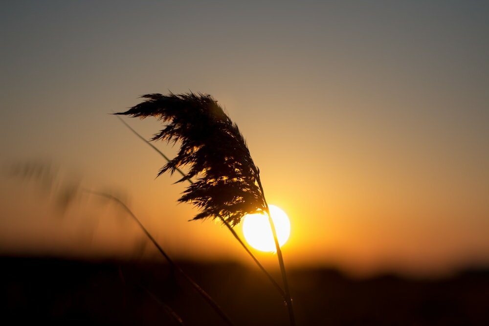 Фото Ktima Bianco
