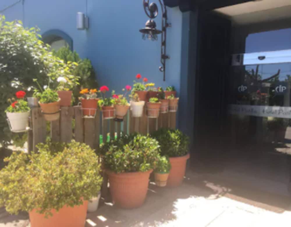 Фото Hotel Patilla Ciudad de Requena