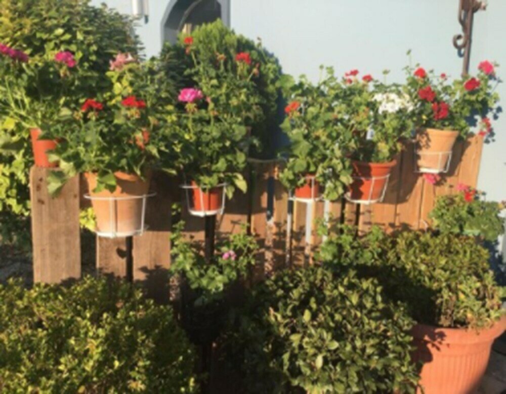 Фото Hotel Patilla Ciudad de Requena