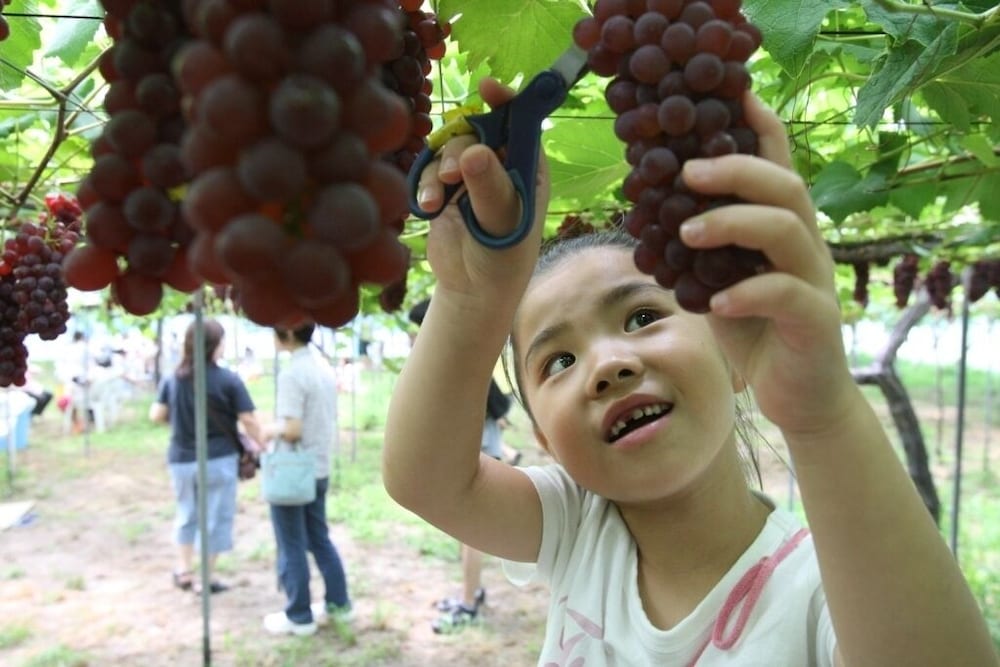 Фото Yukai Resort New Maruya Hotel Bekkan