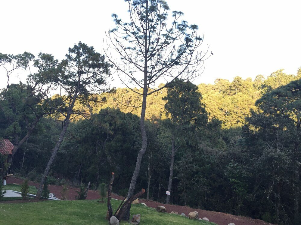 Фото Bellavista Cabanas