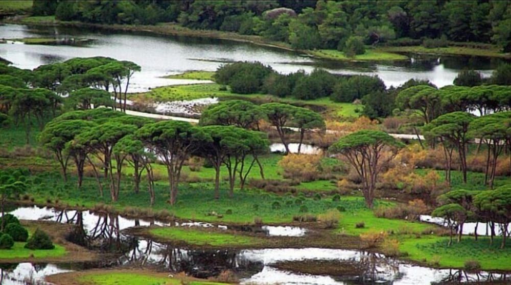 Фото Ionian Islands Beach Villas