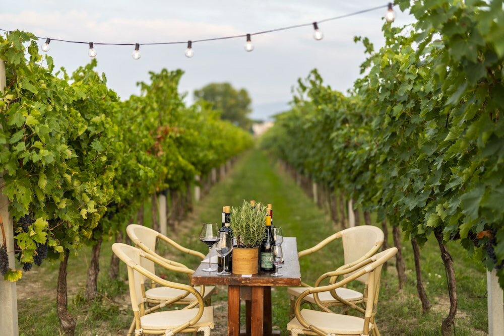 Фото Agriturismo La Fonte