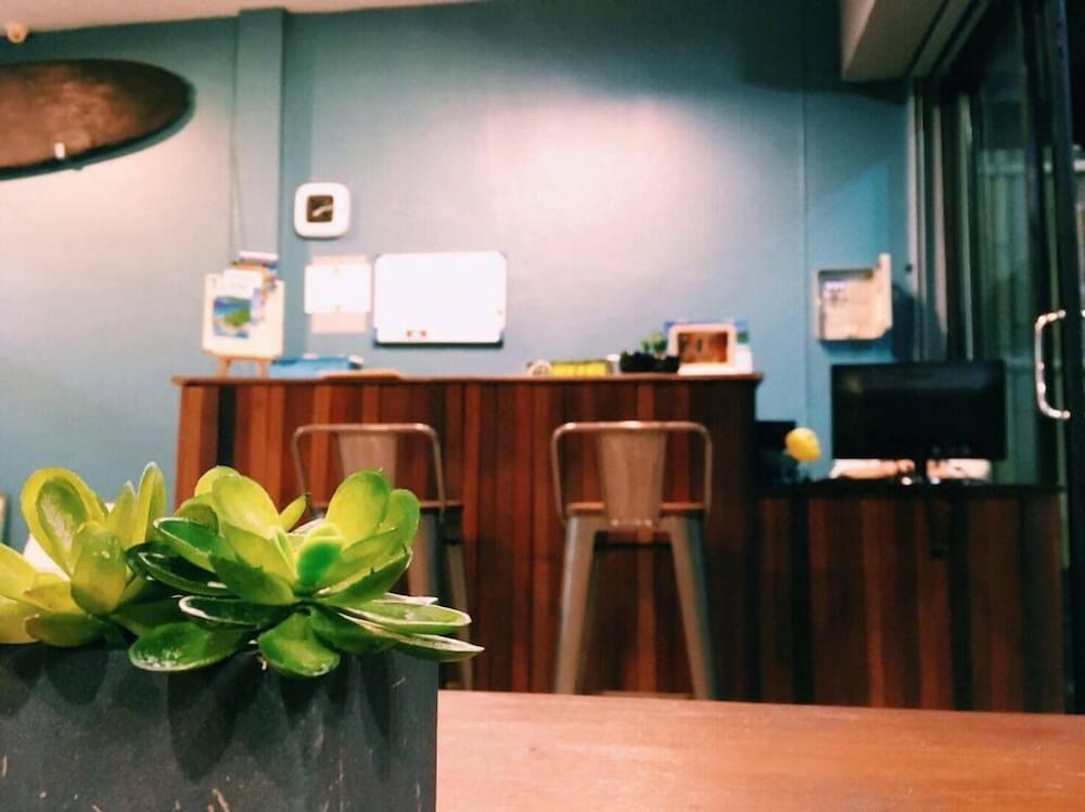 Фото Monkey Dive Yolo Bungalow