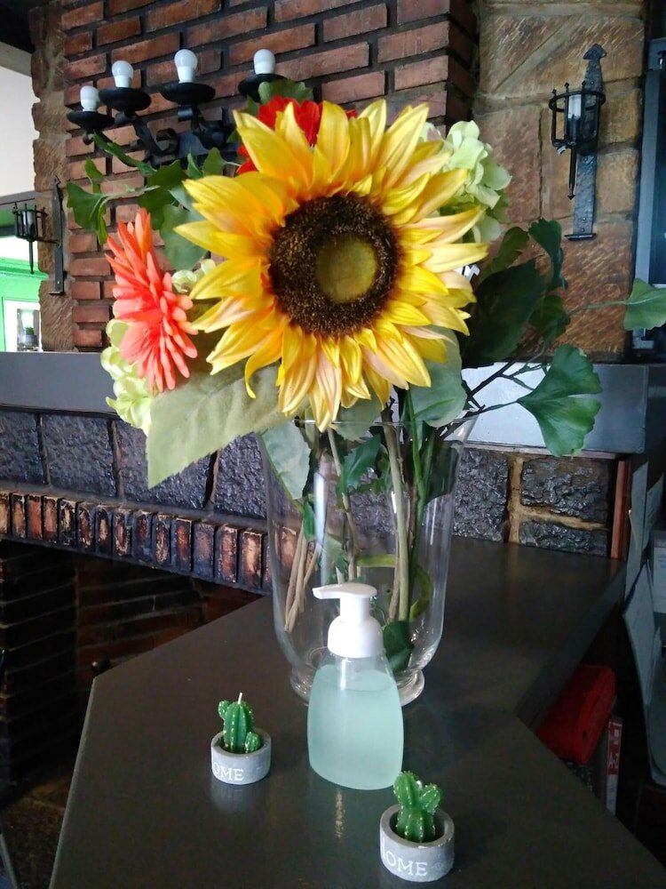 Фото Hostal San Andres