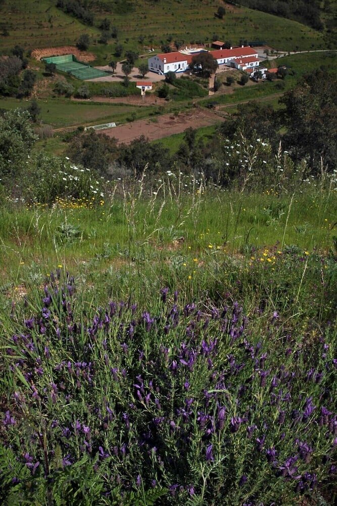 Фото Quinta do Chocalhinho