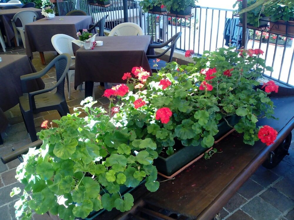 Фото Hotel Speranza