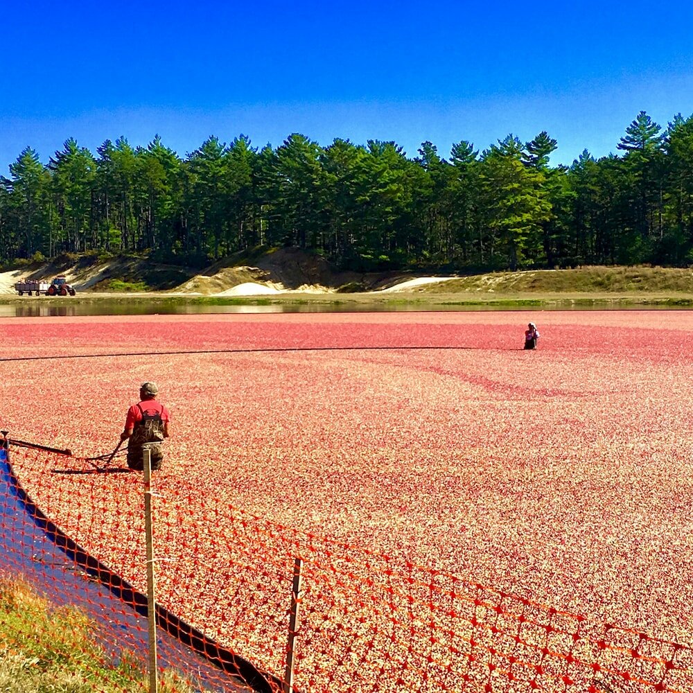 Фото Frederick William House