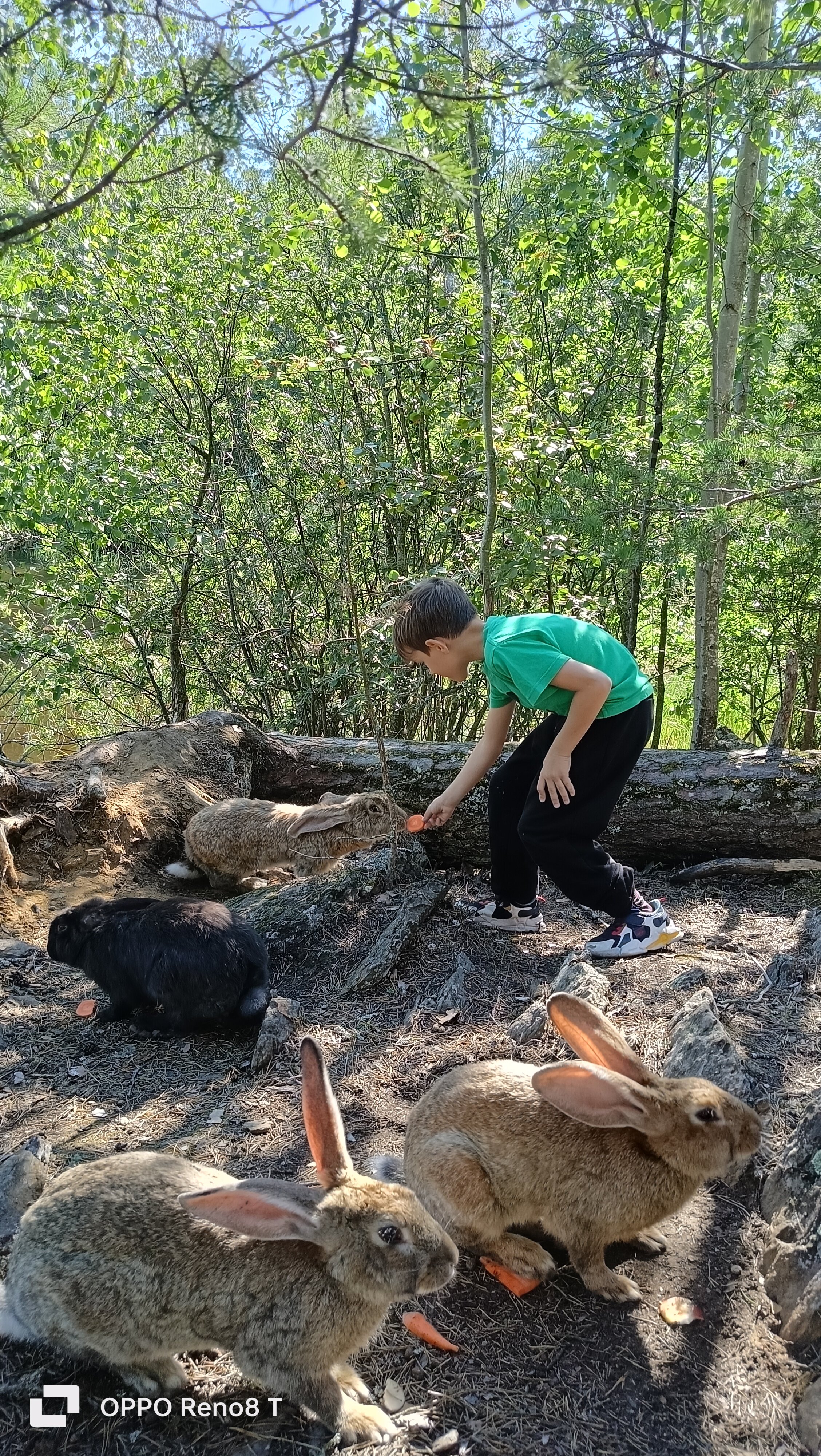 Фото Dream House