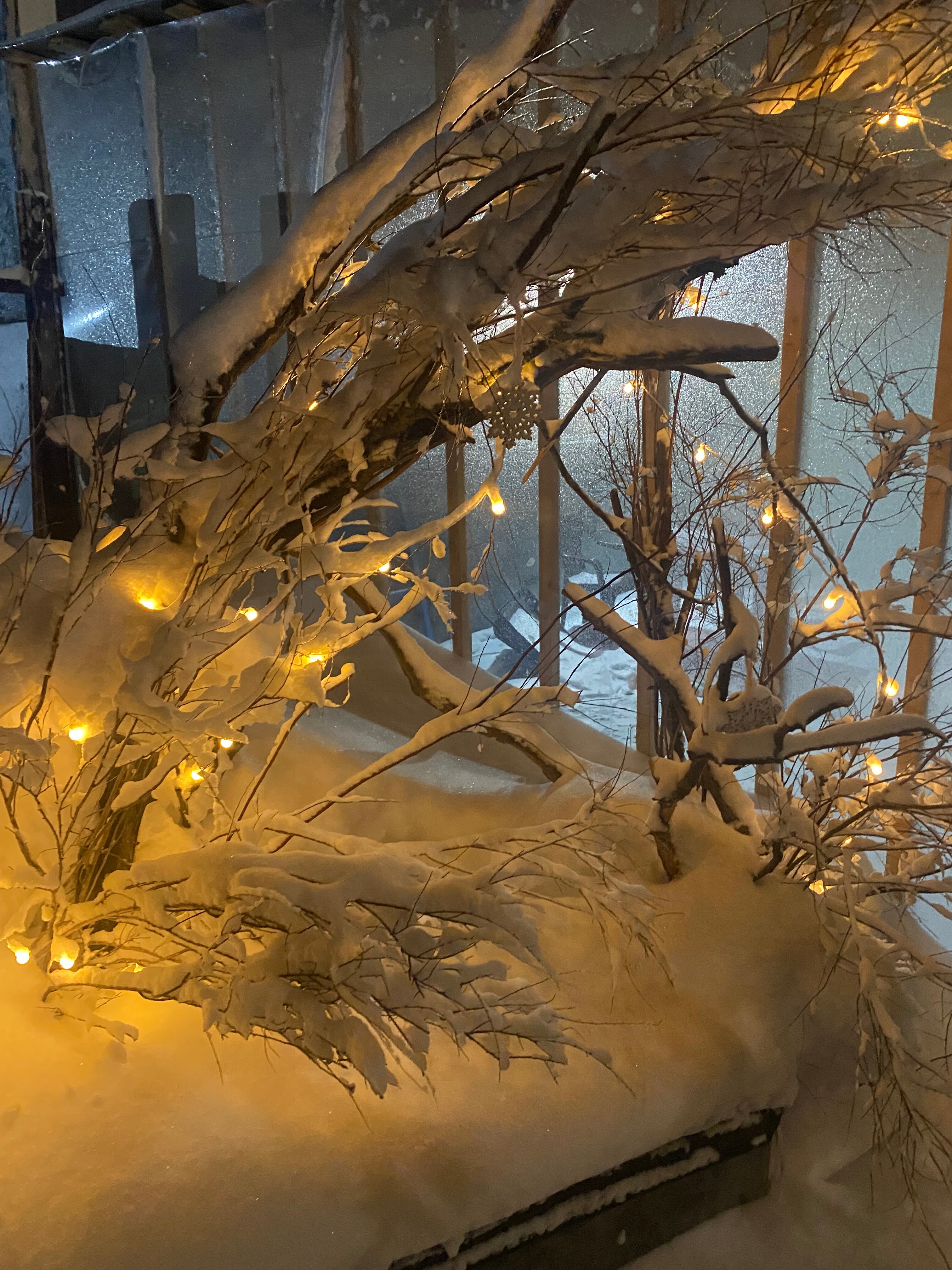 Фото Дом в лесу