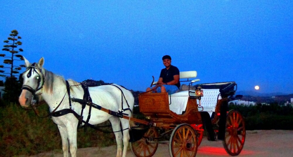 Фото Blue Harmony Apartments