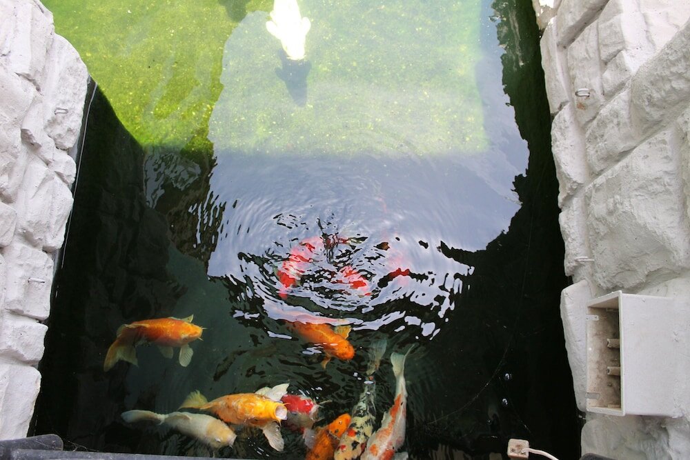 Фото Africa Paradise