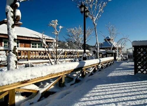 Гостиница SPA Pension Basso