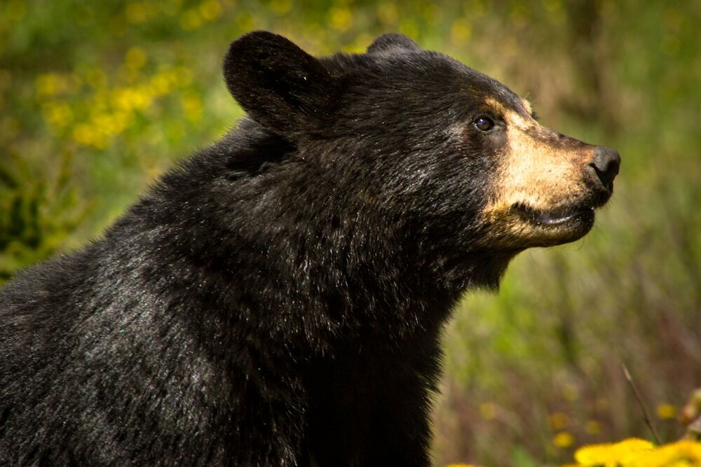 Фото Marble Inn Resort