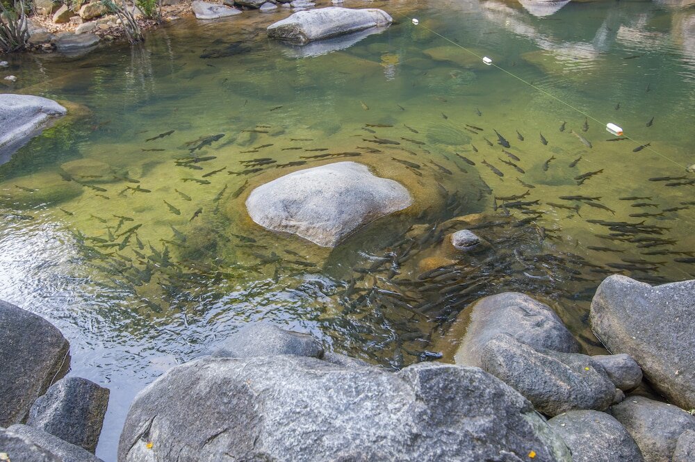 Фото Chatrium Golf Resort Soi Dao Chanthaburi