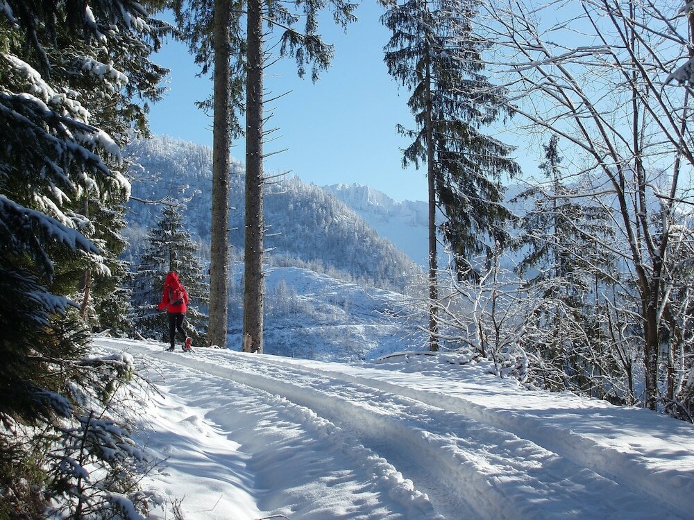 Фото Dormio Resort Obertraun