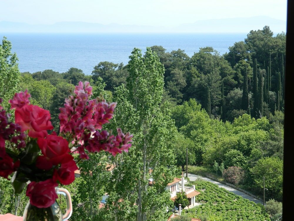 Фото Daphne Hotel