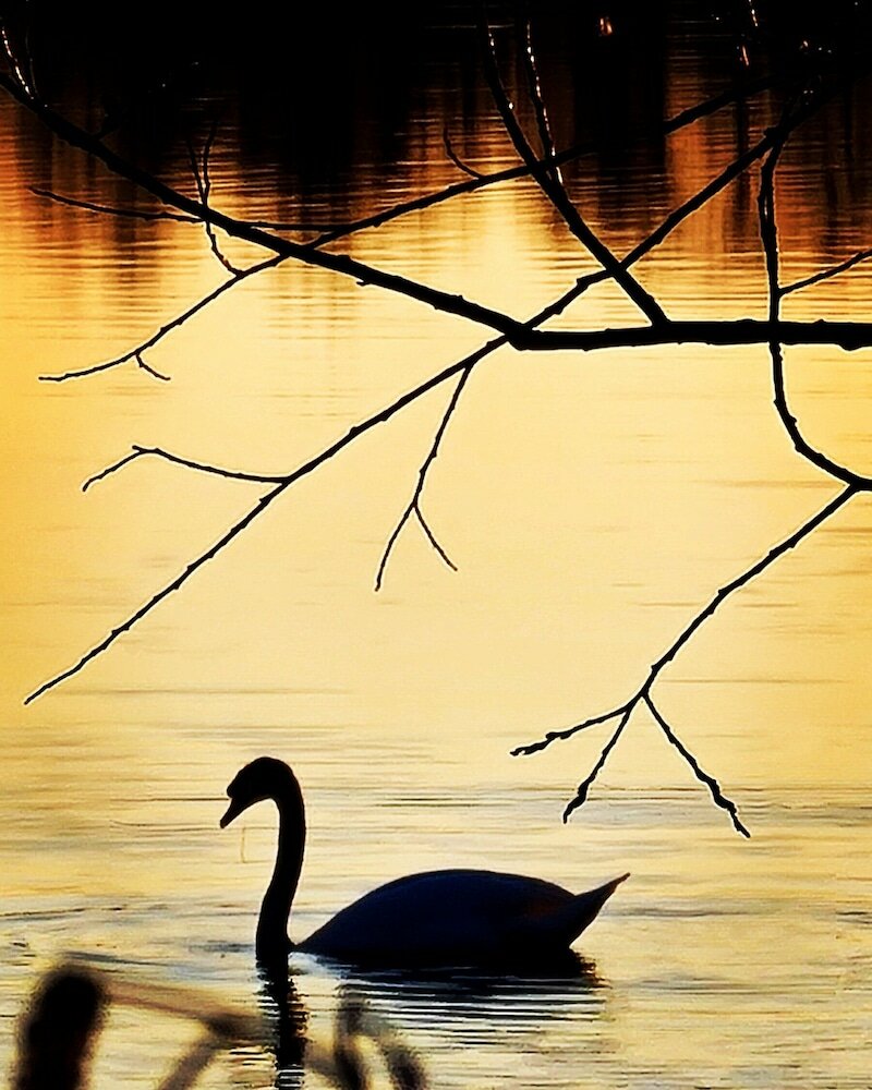 Фото Hotel Nordischer Hof