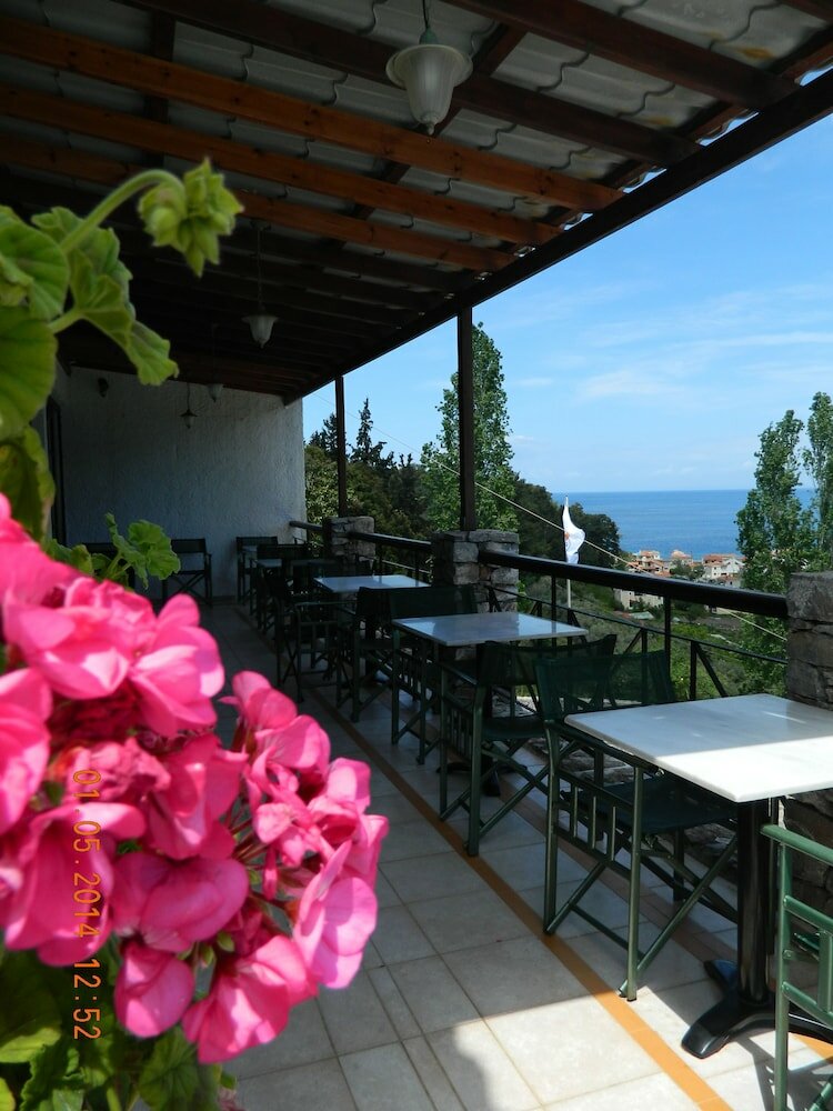 Фото Daphne Hotel