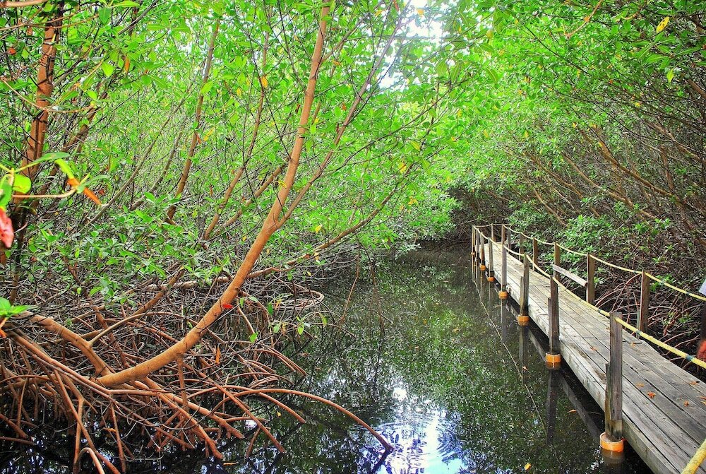 Фото South Coast Horizons