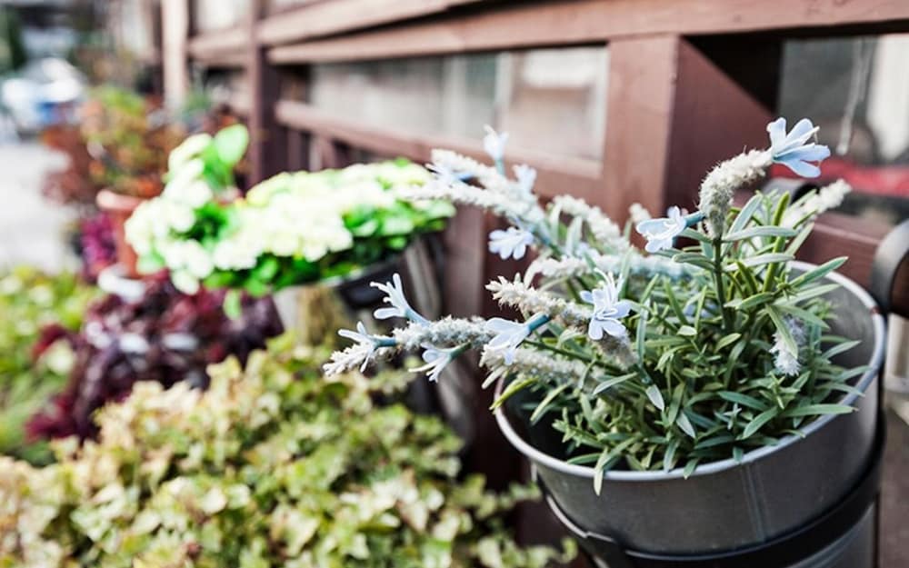 Фото Eulwangri Byeoljari Pension