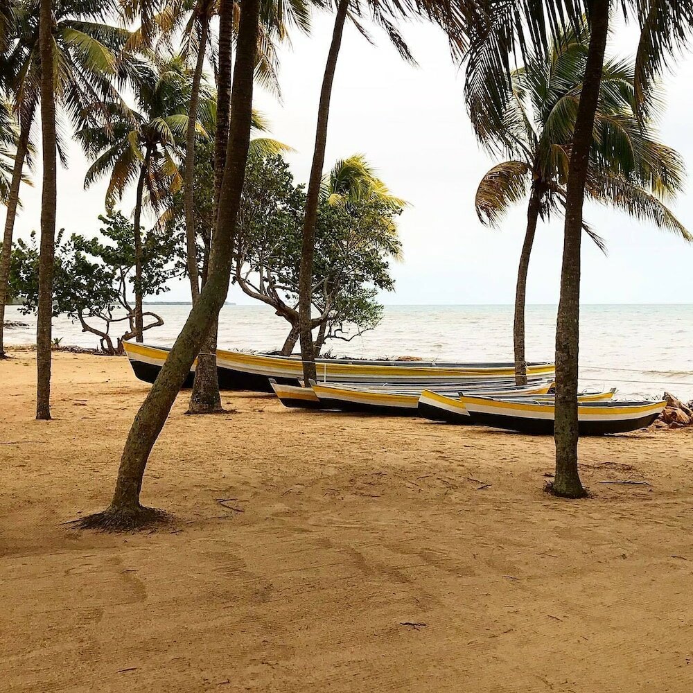 Фото Pelican Beach Resort