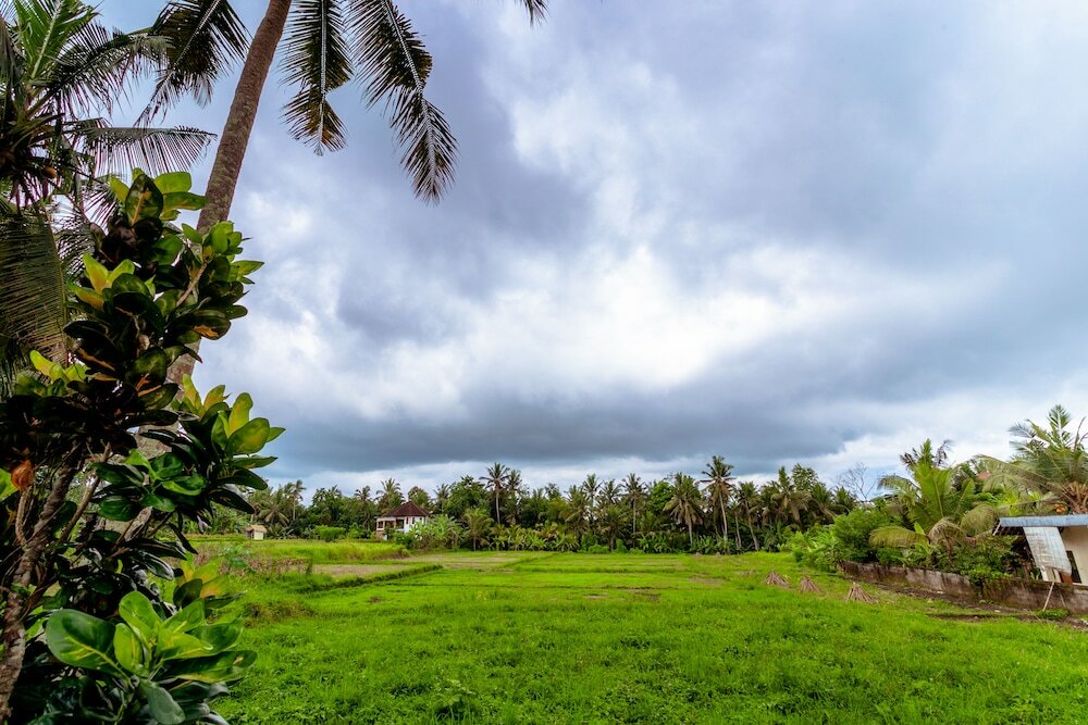 Фото Rizky Guesthouse