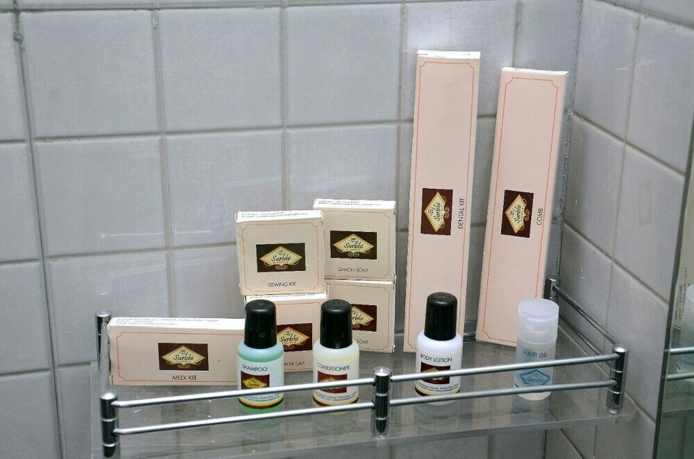 Фото Hotel Surbhi