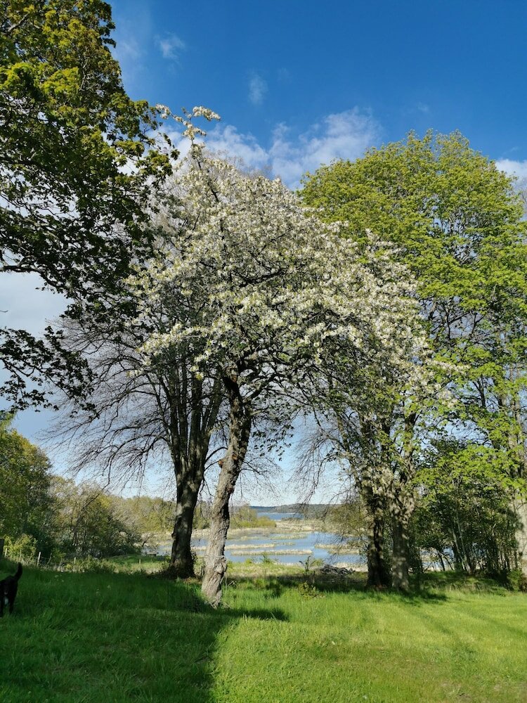 Фото Arbottna Herrgård