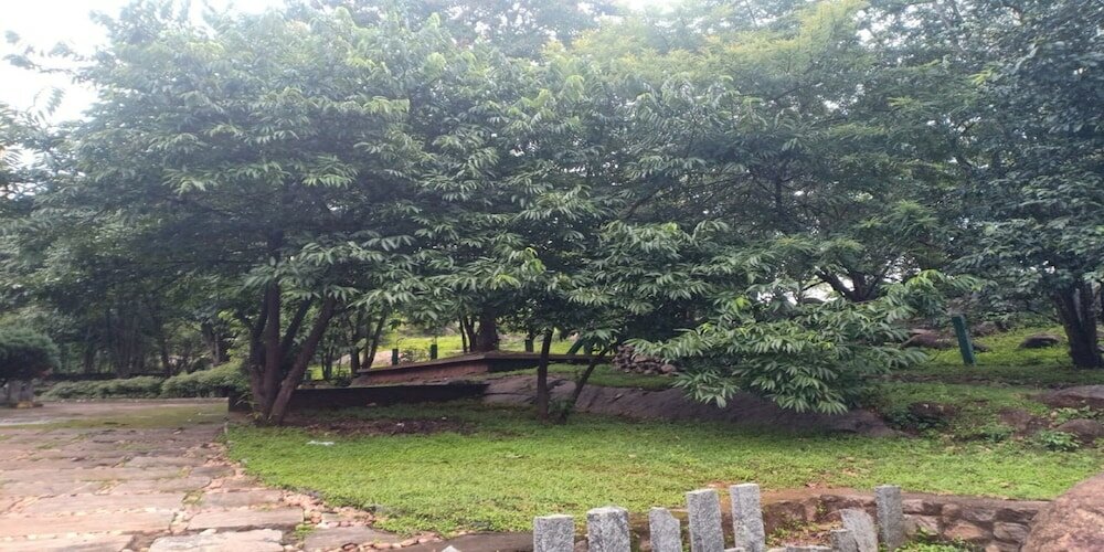 Фото Temple Tree Residence