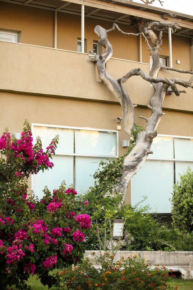 Фото Sikyon Coast Hotel & Resort