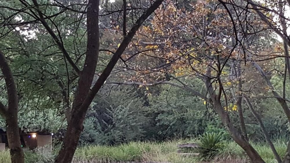 Фото African Silhouette Guesthouse