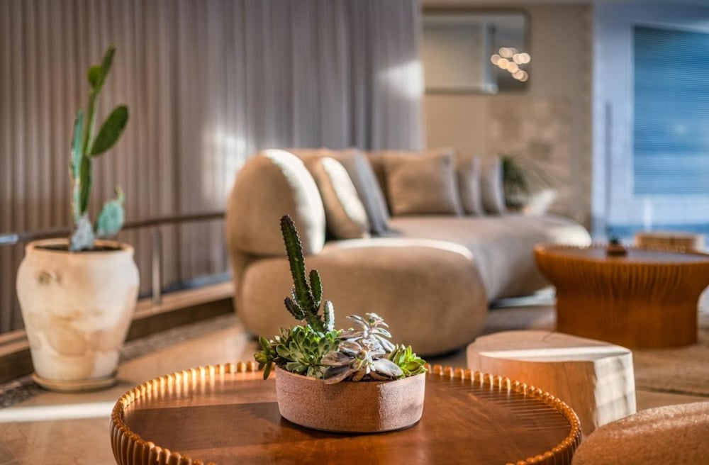 Фото Brown Red Sea