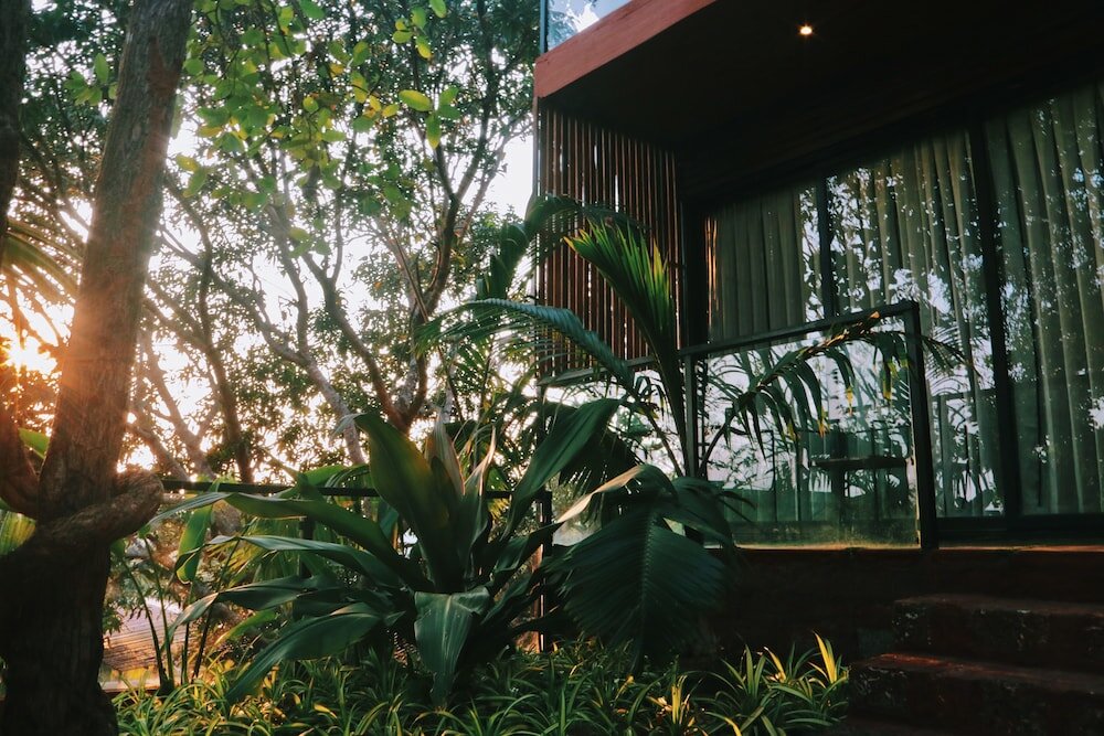 Фото Amazonika Boutique Resort